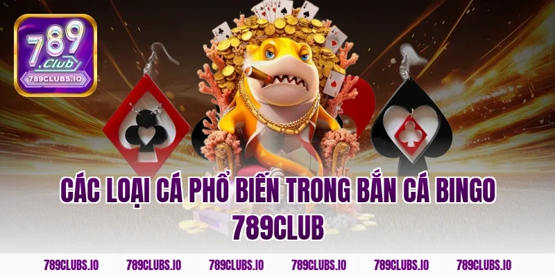 Các loại cá phổ biến trong bắn cá bingo 789club