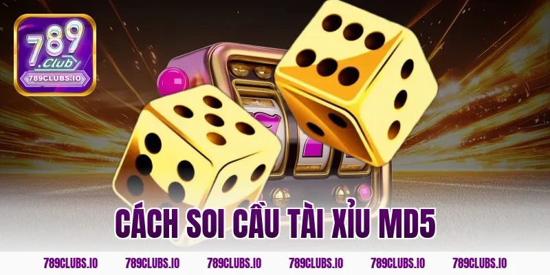 Mẹo cách soi cầu tài xỉu md5 789CLUB luôn trúng thưởng to