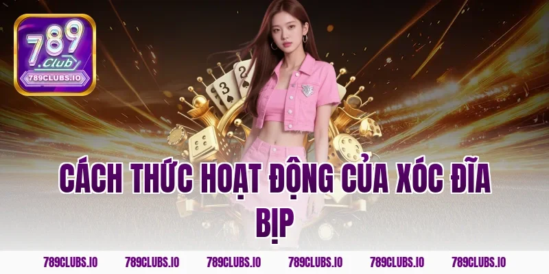 Cách Thức Hoạt Động Của Xóc Đĩa Bịp