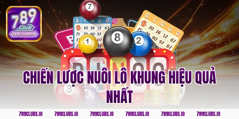 Chiến lược nuôi lô khung hiệu quả nhất