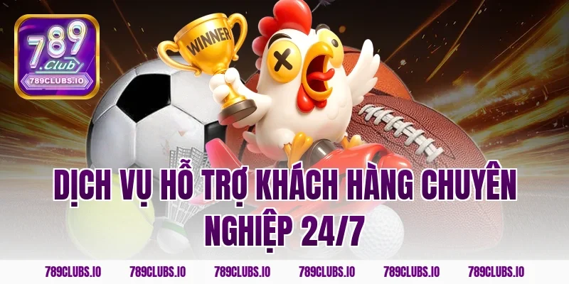 Dịch vụ hỗ trợ khách hàng chuyên nghiệp 24/7