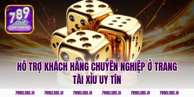 Hỗ trợ khách hàng chuyên nghiệp ở trang tài xỉu uy tín