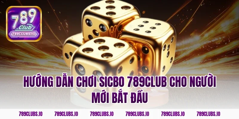Hướng dẫn chơi sicbo 789CLUB cho người mới bắt đầu