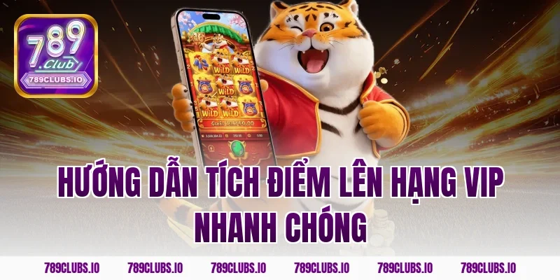 Hướng dẫn tích điểm lên hạng VIP nhanh chóng
