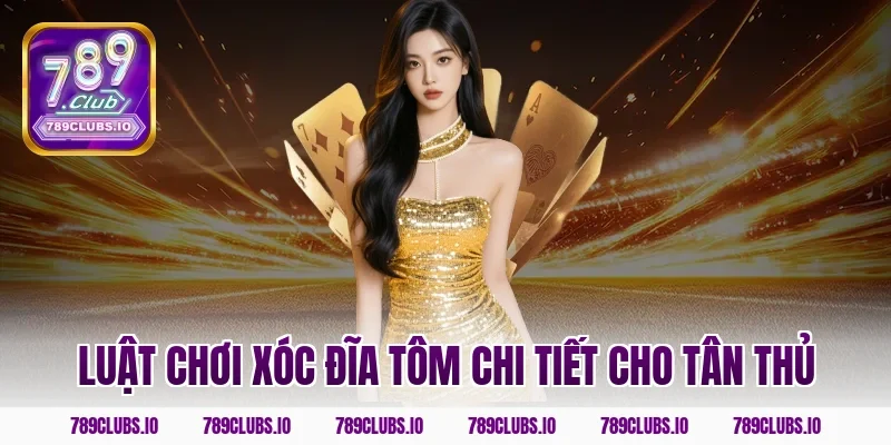 Luật chơi Xóc Đĩa Tôm chi tiết cho tân thủ