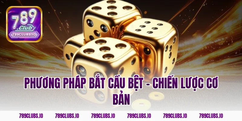 Phương pháp bắt cầu bệt - chiến lược cơ bản