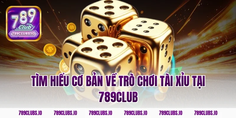 Tìm hiểu cơ bản về trò chơi tài xỉu tại 789CLUB